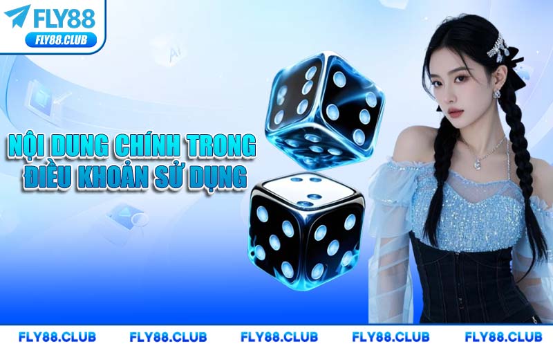 Nội Dung Chính Trong Điều Khoản Sử Dụng